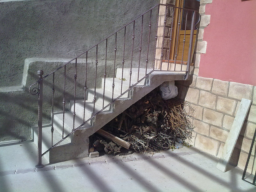 forja Zaragoza